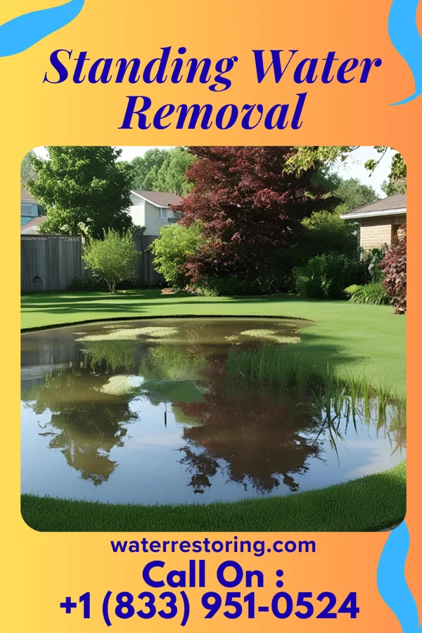 Standing Water Removal in Cherokee, KS